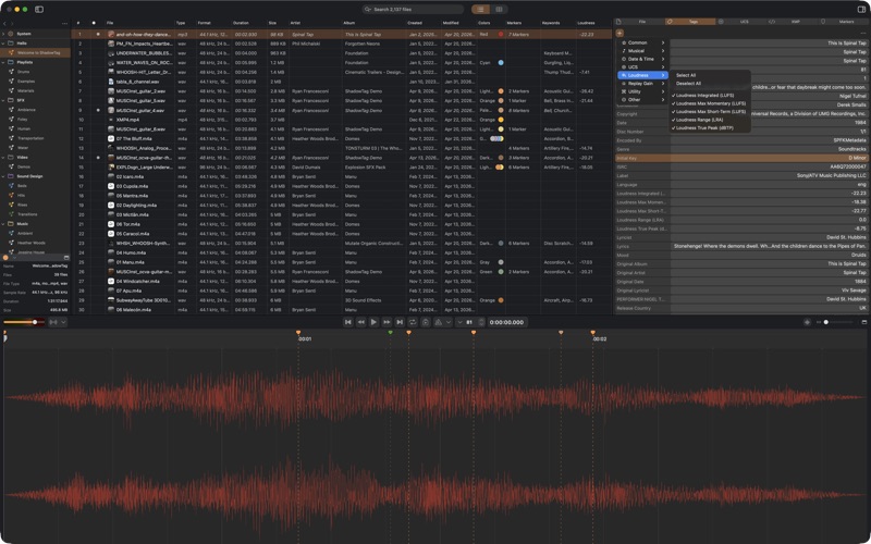 ShadowTag tags editor
