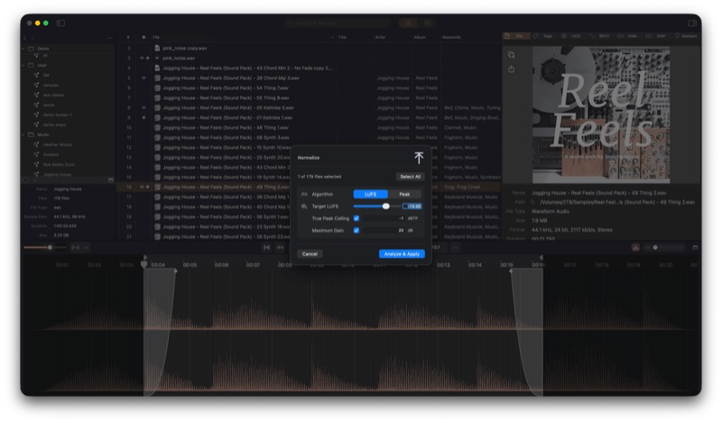 ShadowTag loudness normalization